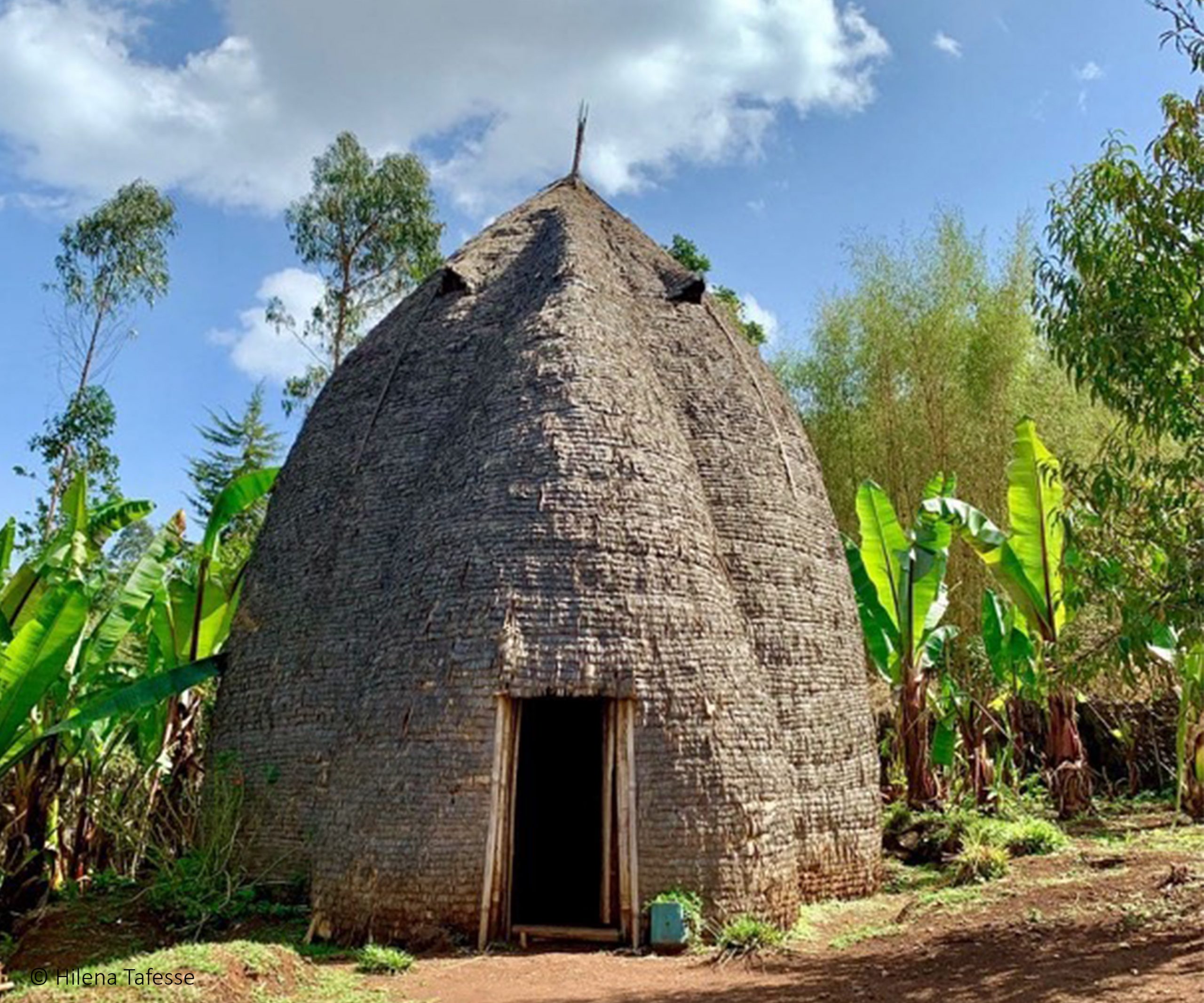 ethiopian house